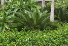 South Trayningtropical-landscaping-4.jpg; ?>