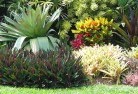 South Trayningtropical-landscaping-9.jpg; ?>